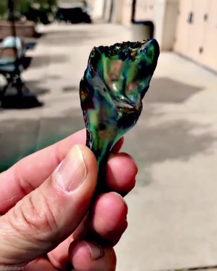 Обложка видео: Абалон (Abalone) — моллюск, который производит один из наиболее поразительных и необычных видов…